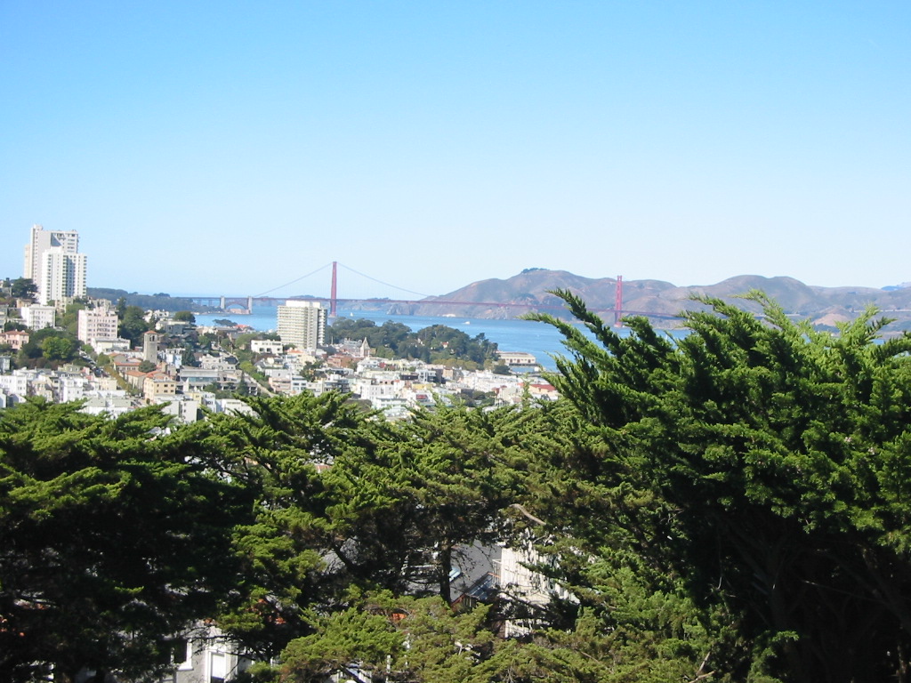view from coit tower
